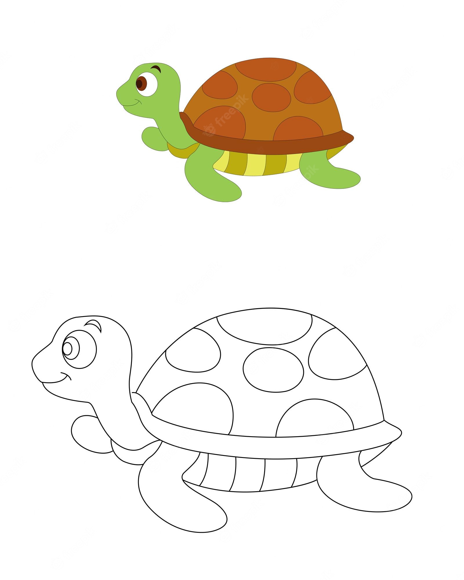 Kids drawing Cartoon Cute sea turtle Vector Illustration Isolated on White  Background 25433143 Vector Art at Vecteezy