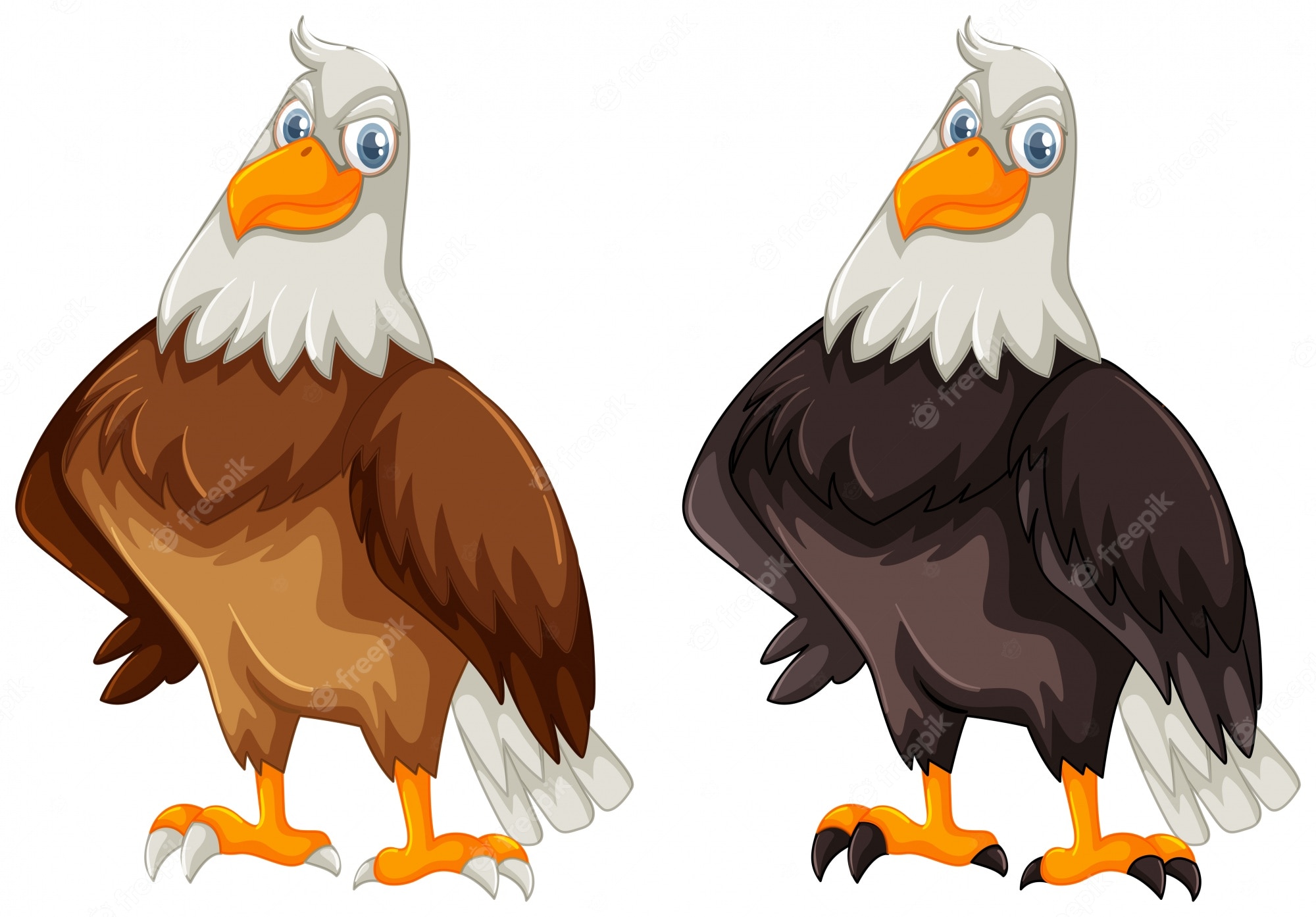 Two cartoon bald eagles side by side-one with brown body, one with dark brown body-both with white heads, orange beaks and talons.