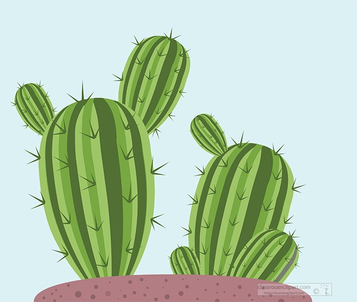 Barrel Cactus Illustration - Free Clipart for Educational and Design Use