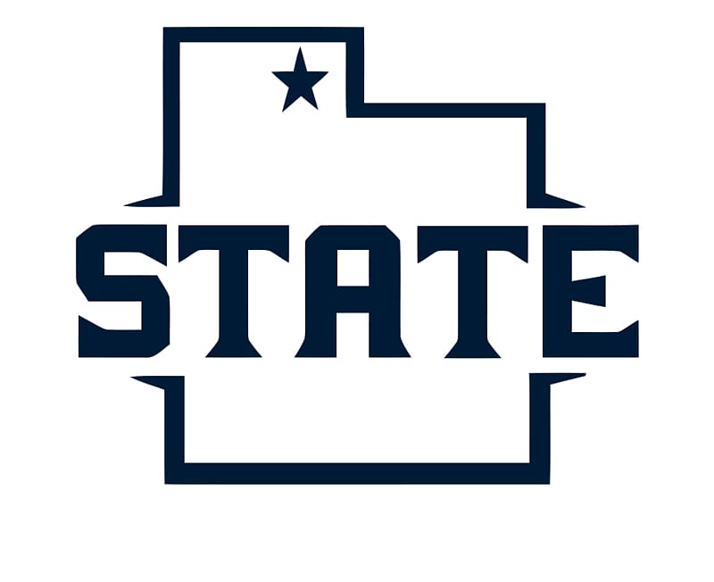Navy blue logo featuring the outline of Texas with a star and the word "STATE" in bold block letters.
