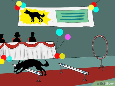 A black dog leaps over a hurdle in a staged agility competition with judges, balloons, and a banner featuring a wolf silhouette.