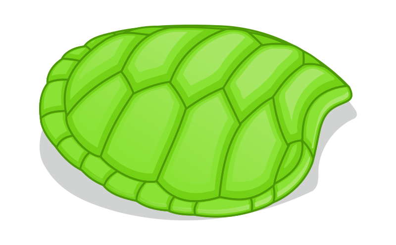 Bright green cartoon-style turtle shell with segmented scutes and soft shadow on white background.