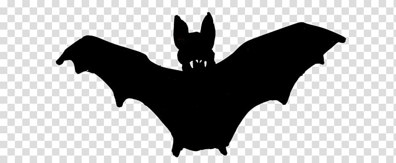 Cartoon bat. Cute vampire bat, flying mammal. Flat vector - Clip Art ...