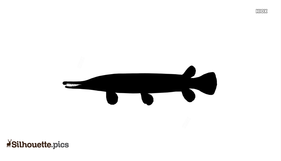 Free Dracula Fish Cliparts, Download Free Dracula Fish Cliparts 