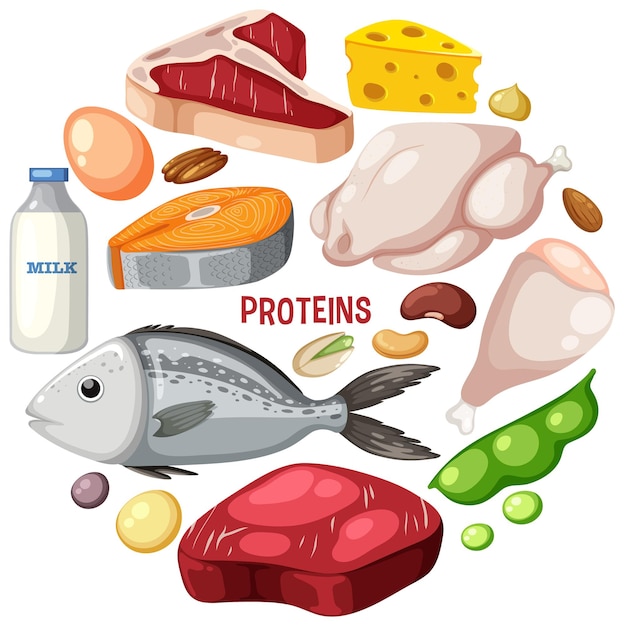 Protein Foods Clip Art Library