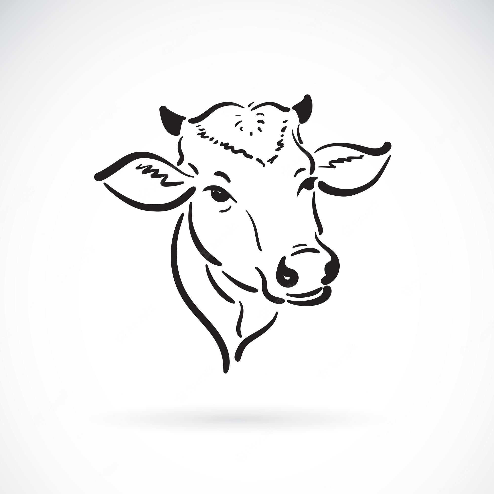 Cow Head Outline Icon Clipart Image Stock Vector (Royalty Free - Clip ...