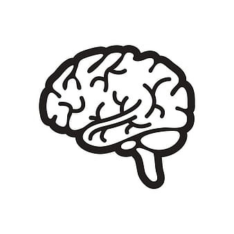 Free Brain Drawing Cliparts, Download Free Brain Drawing Cliparts ...