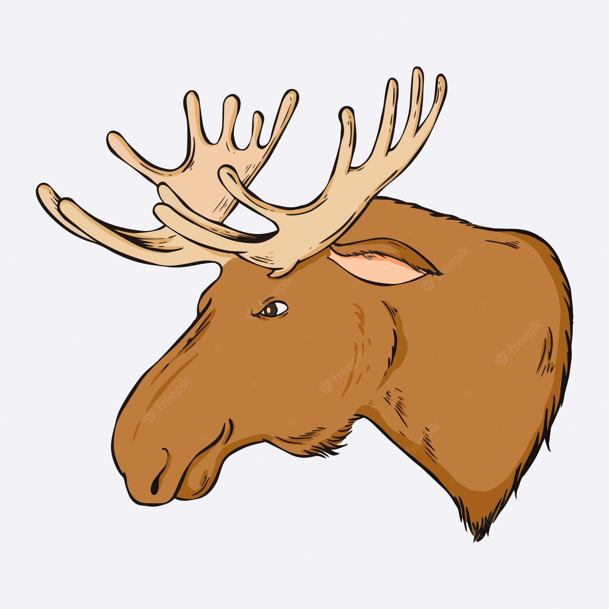 Cartoon Moose Clipart png images | PNGWing - Clip Art Library