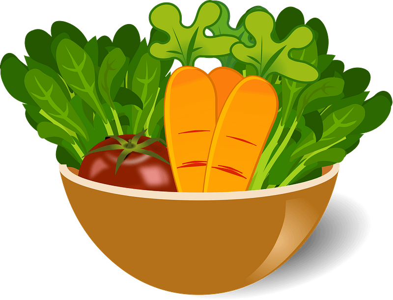 Fresh Vegetable Salad Bowl - Healthy Eating Inspiration