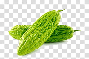 Fresh green bitter melon with distinctive warty texture, displayed on transparent background.
