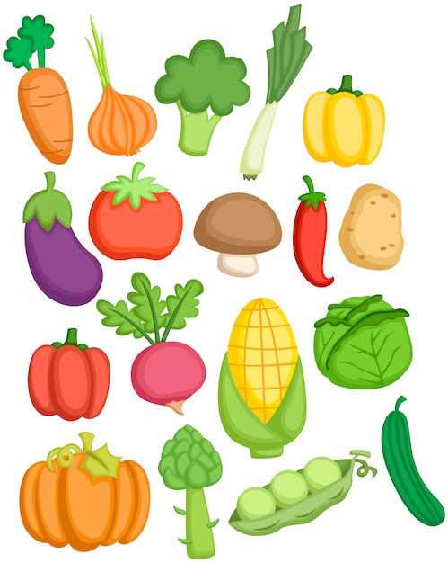 Colorful cartoon illustration of 18 common vegetables including carrot, broccoli, tomato, mushroom, corn, and pumpkin.