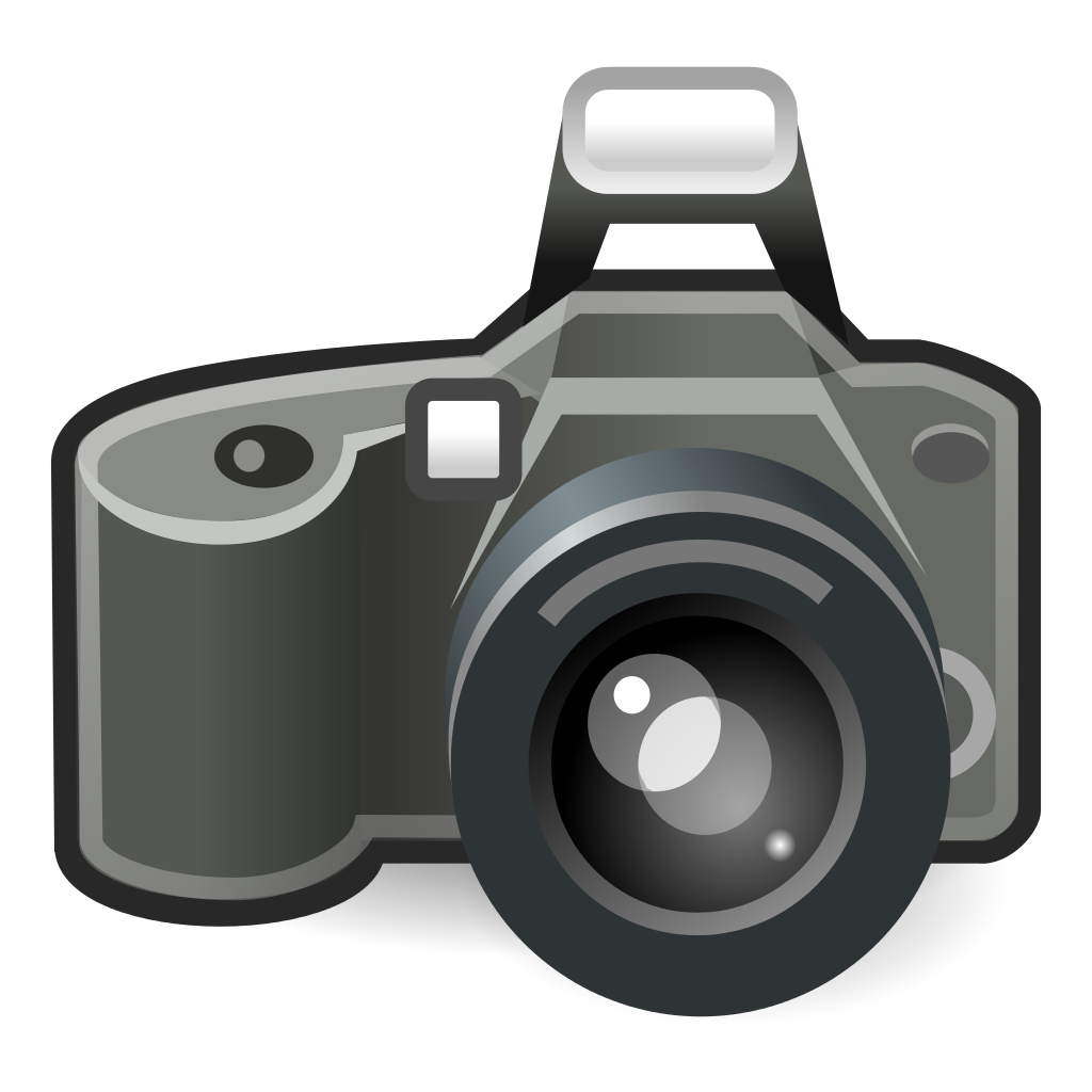 Stylized digital camera icon with lens, flash, and viewfinder in grayscale tones.