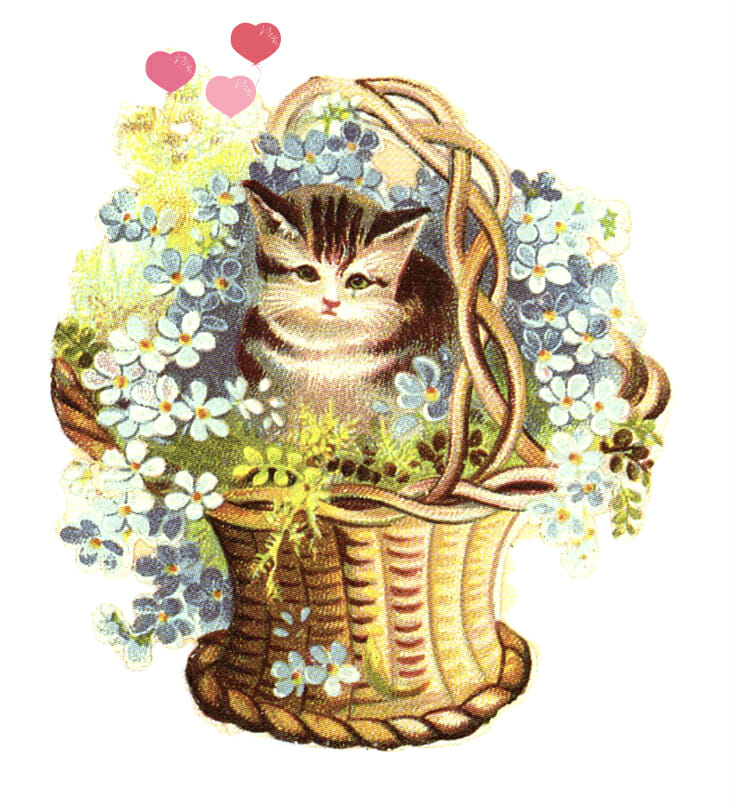 A vintage-style illustration of a tabby kitten nestled in a woven basket overflowing with blue and white flowers and pink hearts.