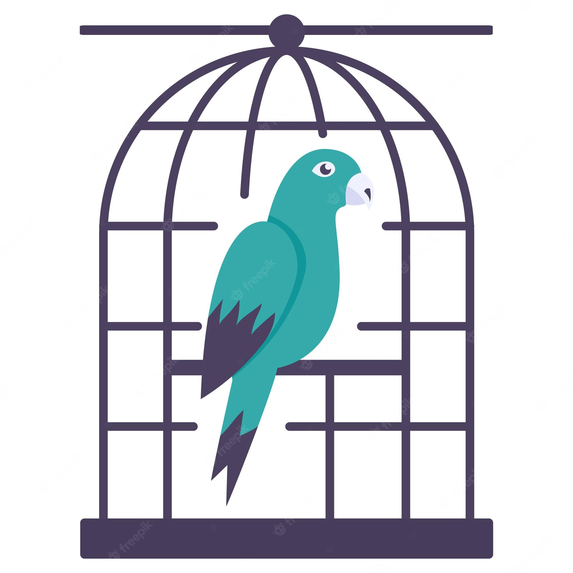 Teal parrot perched inside a classic arched wire birdcage with purple frame and dark tail feathers.