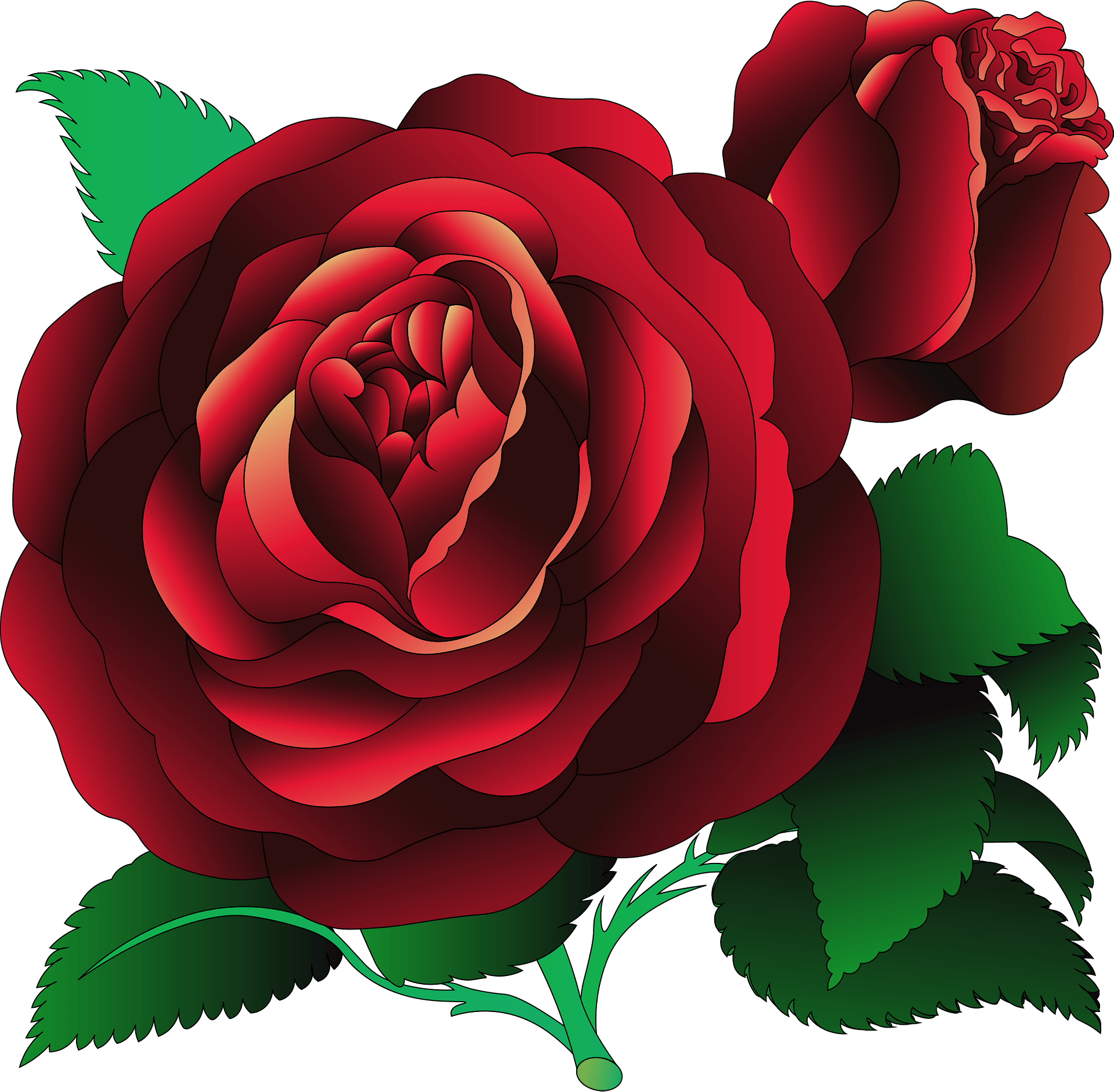 Image of clip art red rose 2 red roses clip art images free - Clip Art ...