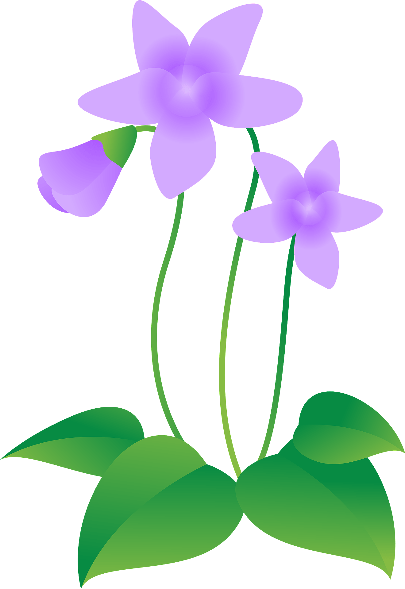 Purple Pink Flowers Clip Art, PNG, 1225x1600px, Purple, Blog - Clip Art ...