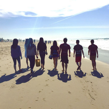 A group of seven friends walks along a sunny beach, casting long shadows on the sand near the shoreline.