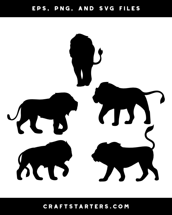Five black lion silhouettes in various walking and standing poses on white background, vector-style illustration.