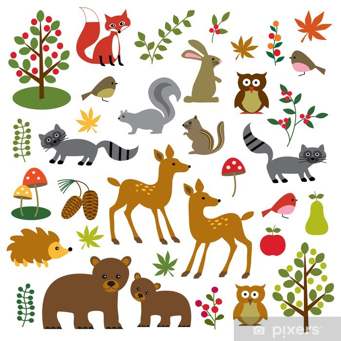 Collection of cartoon forest animals and plants including fox, deer, owl, squirrel, bear, raccoon, mushrooms, trees, and berries.