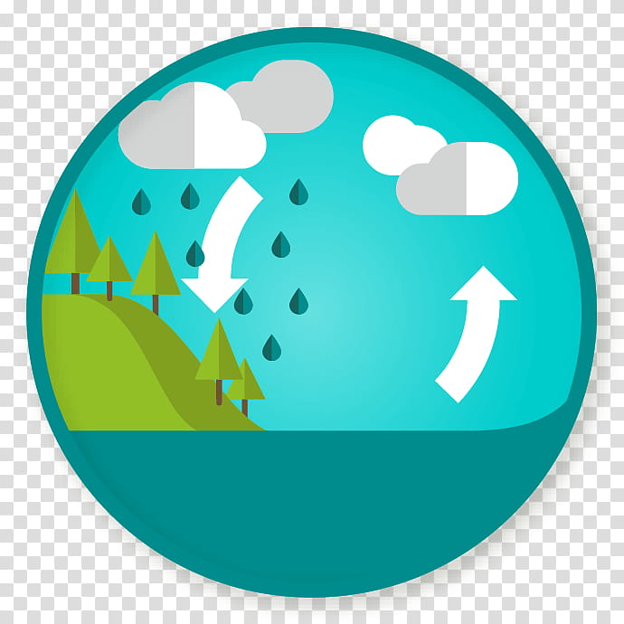 The Water Cycle Explained - How Nature Recycles Water