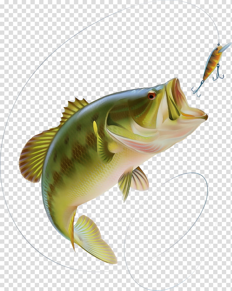 Largemouth Bass Silhouette Bass Fishing Clip Art, PNG, 733x456px - Clip ...