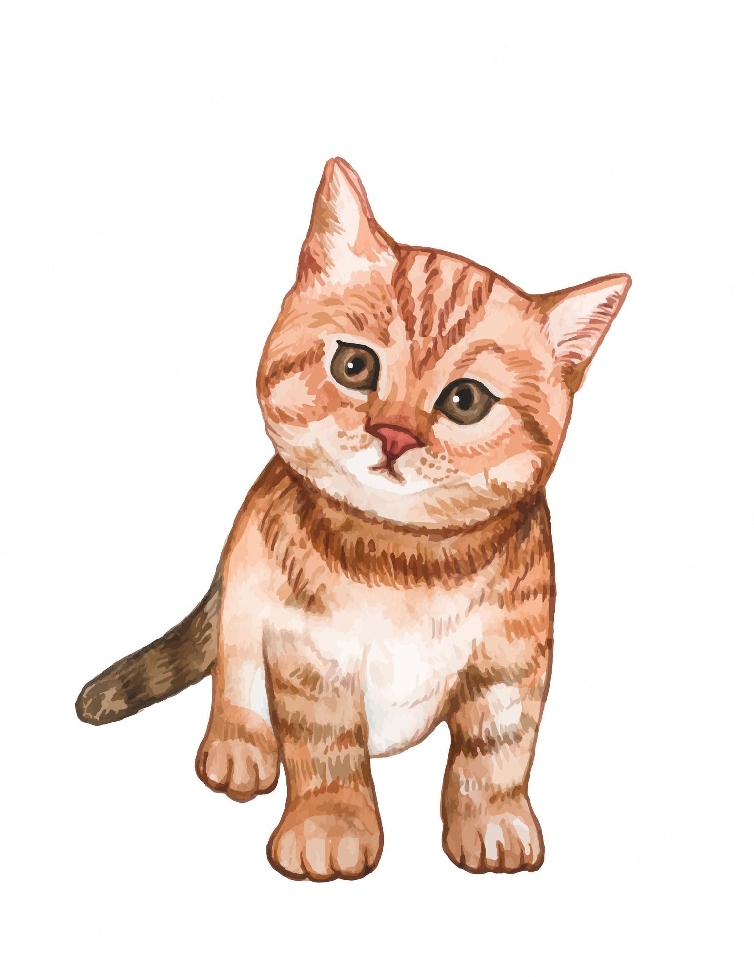 Adorable orange tabby kitten sitting upright, with expressive eyes and soft fur texture, illustrated in watercolor style.