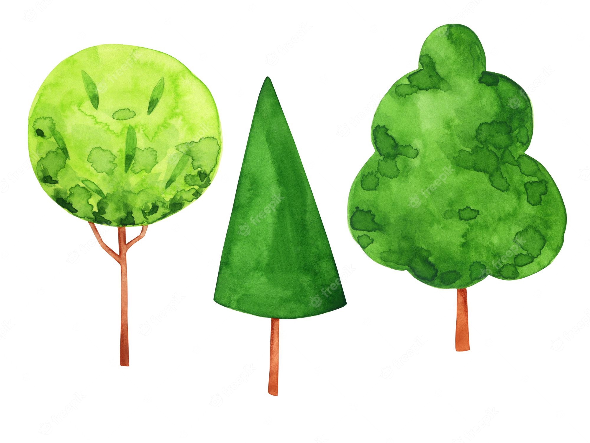Three stylized watercolor trees-round, conical, and cloud-shaped-with green foliage and brown trunks on a white background.