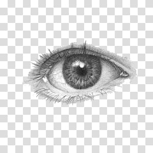 Realistic pencil sketch of a human eye with detailed iris, pupil, lashes, and reflections on transparent background.