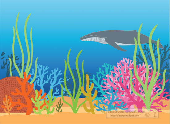 Underwater Coral Reef Ecosystem with Humpback Whale Illustration