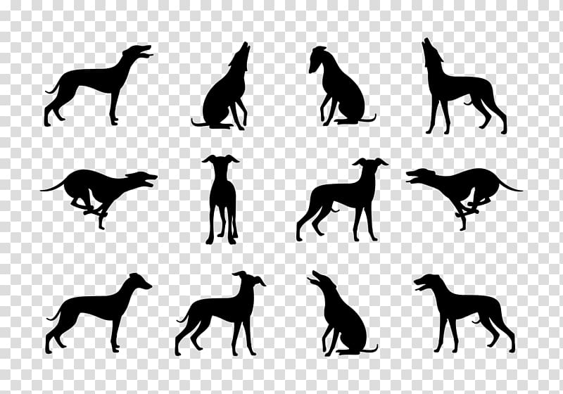 Greyhound Dog Silhouette Collection - Free Vector Clipart for Design