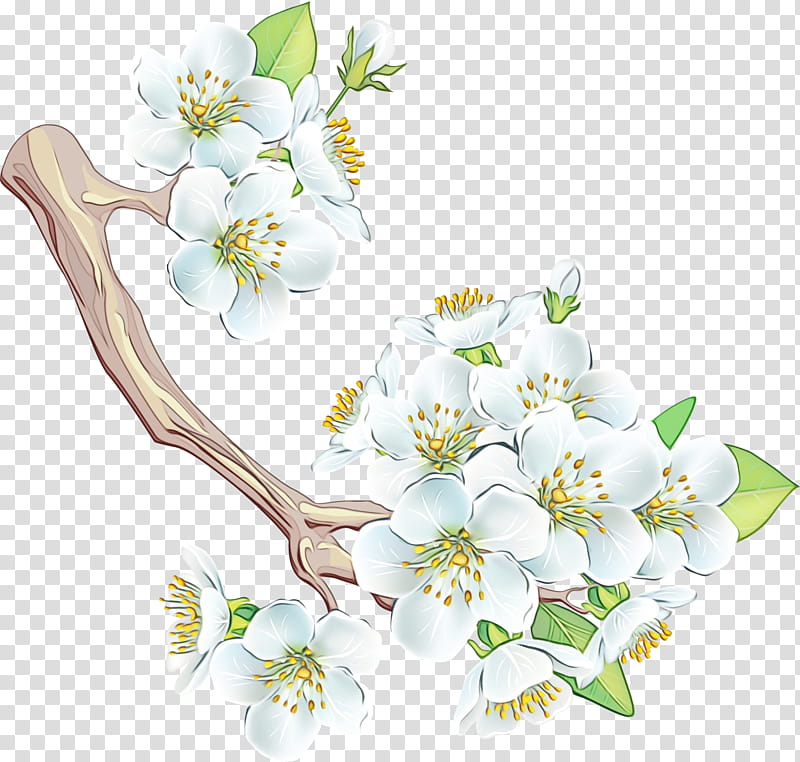 Dogwood Clipart Clipart Library - Clip Art Library