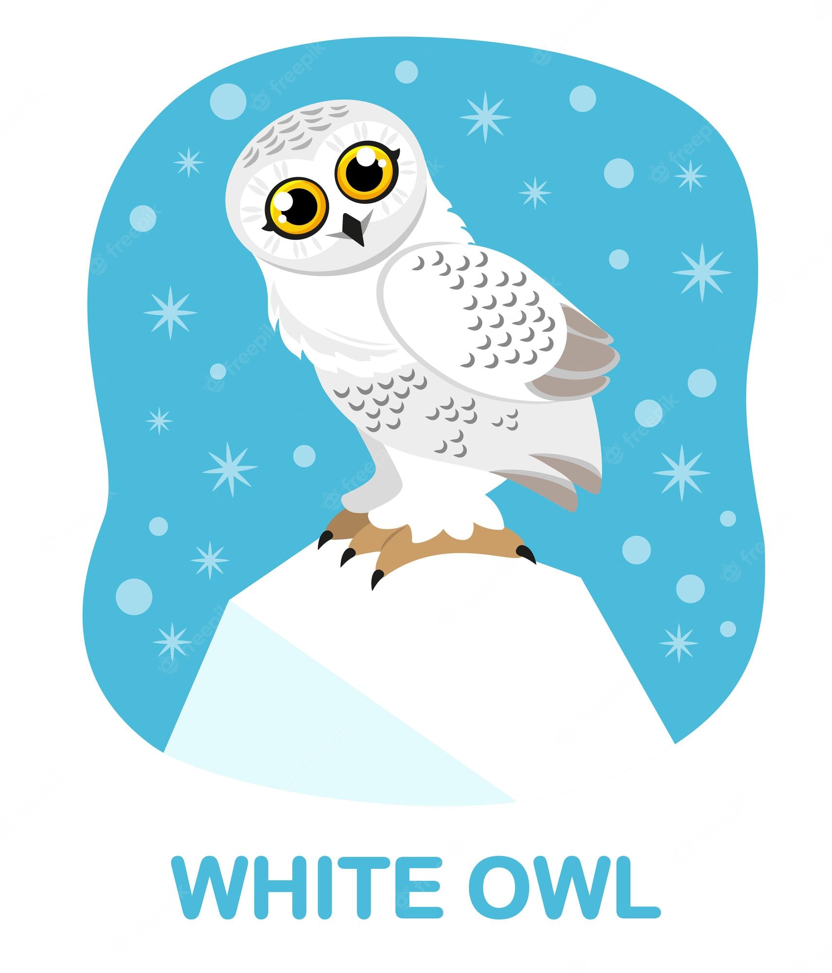 Frozen Owls - Clip Art Library