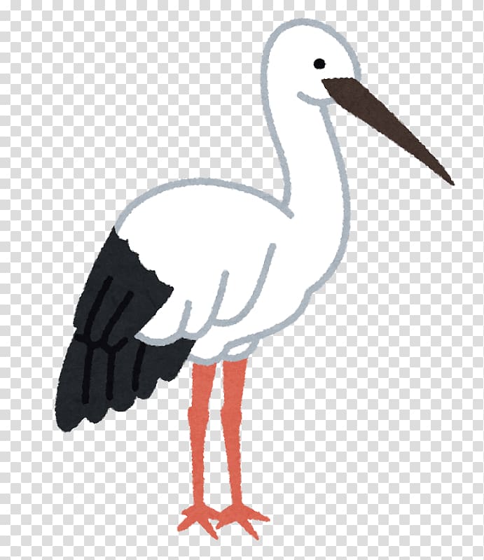 Illustrated white stork with black wing feathers, long orange legs, and a brown beak standing upright.