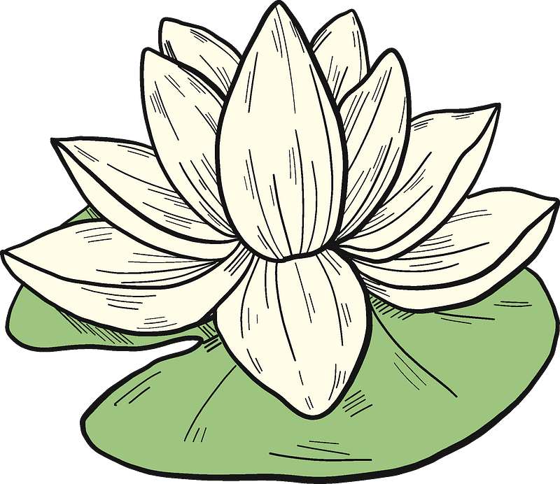 Water Lilies Sacred Lotus Lily Clip Art, PNG, 6000x3095px - Clip Art ...