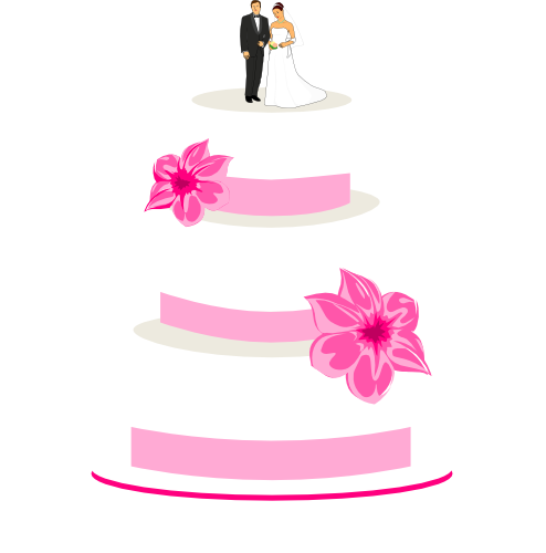 Three-tier white wedding cake with pink ribbons, hibiscus flowers, and a bride-and-groom topper.