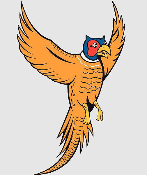 Stylized cartoon pheasant in flight with vibrant orange plumage, blue-red head, and outstretched wings.