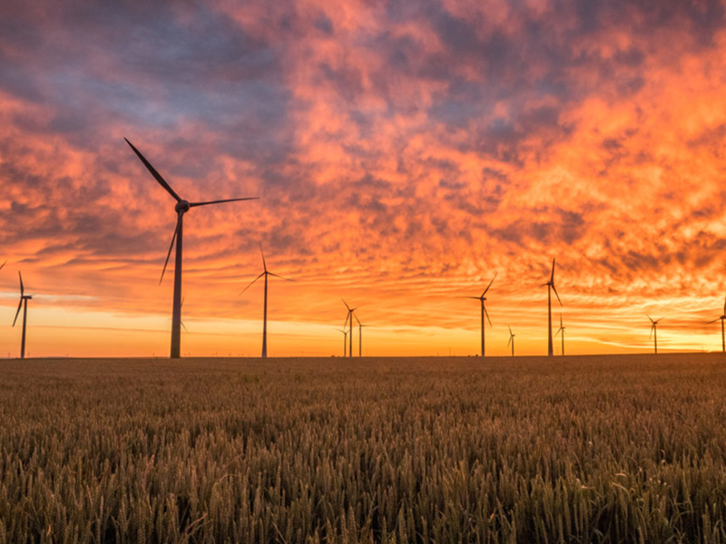 Renewable Energy at Sunset - Wind Farm in Golden Wheat Field