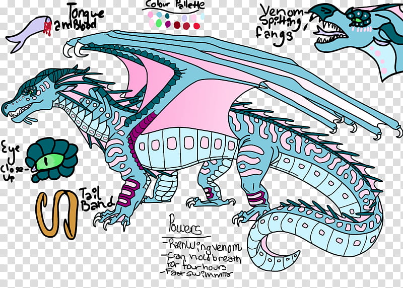 A stylized fantasy dragon reference sheet with labeled anatomy, color palette, powers, and features like venom-fangs and rainwing venom.