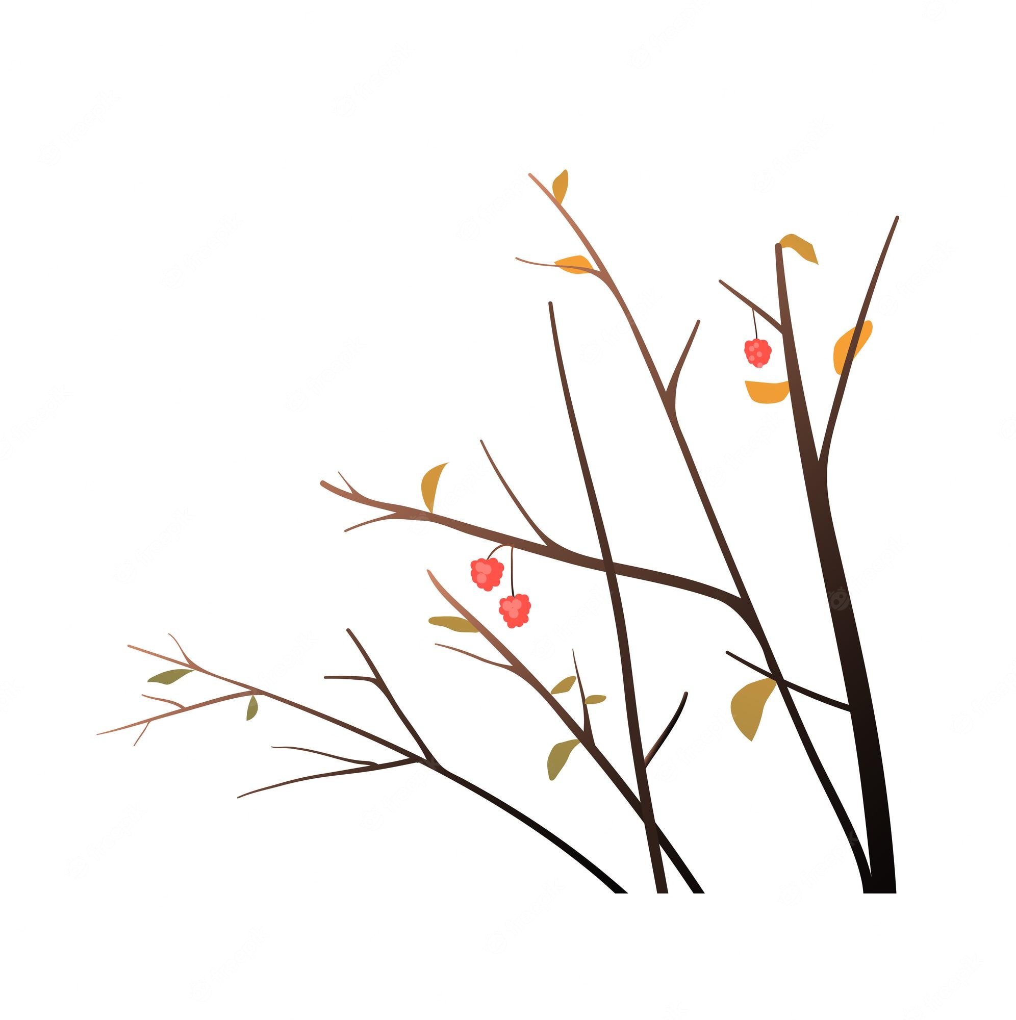 Bare autumn branches with sparse yellow leaves and red berries against white background.