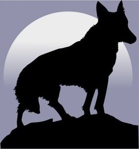Coyote Silhouette Against Moon - Wildlife Art & Symbolism