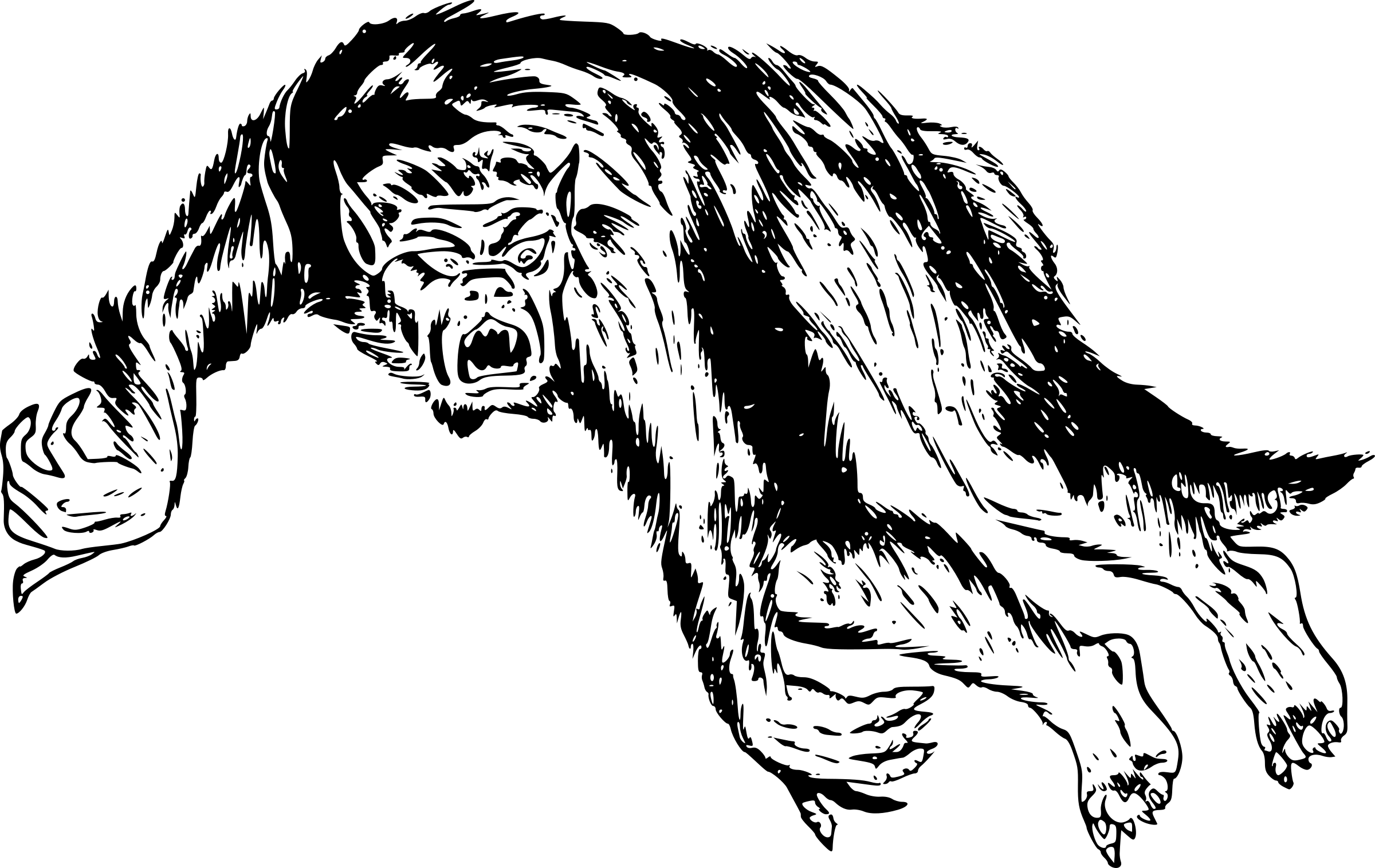 Blank black image placeholder with no visible content.