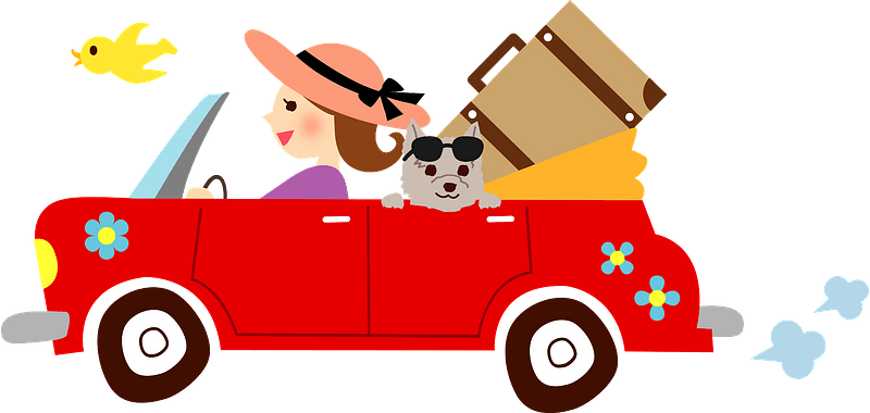 A woman in a pink hat drives a red convertible with a dog wearing sunglasses and luggage on the back, yellow bird flying nearby.