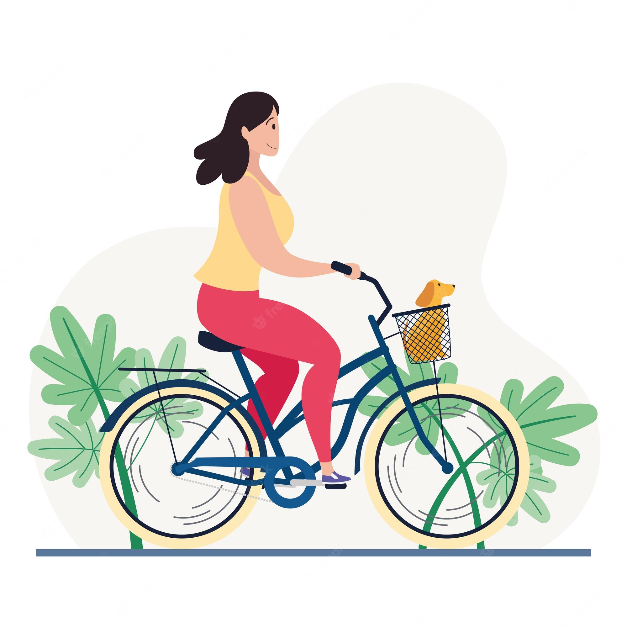 Woman riding a blue bicycle with a small dog in the front basket, surrounded by green foliage.