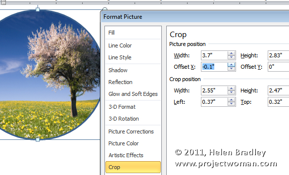 Circular cropped photo of a blossoming tree in a yellow flower field, shown within Microsoft Word's Format Picture dialog box.
