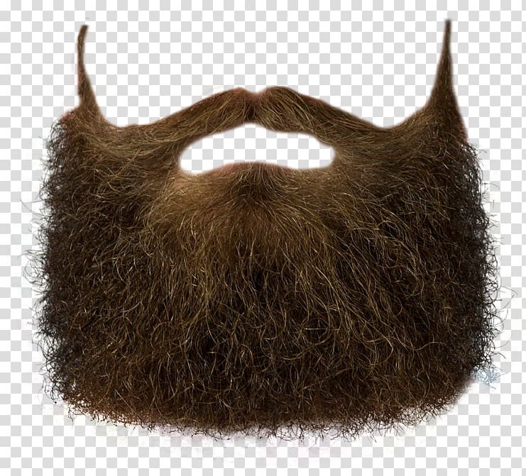 Realistic brown full beard with handlebar mustache and sideburns, transparent background.