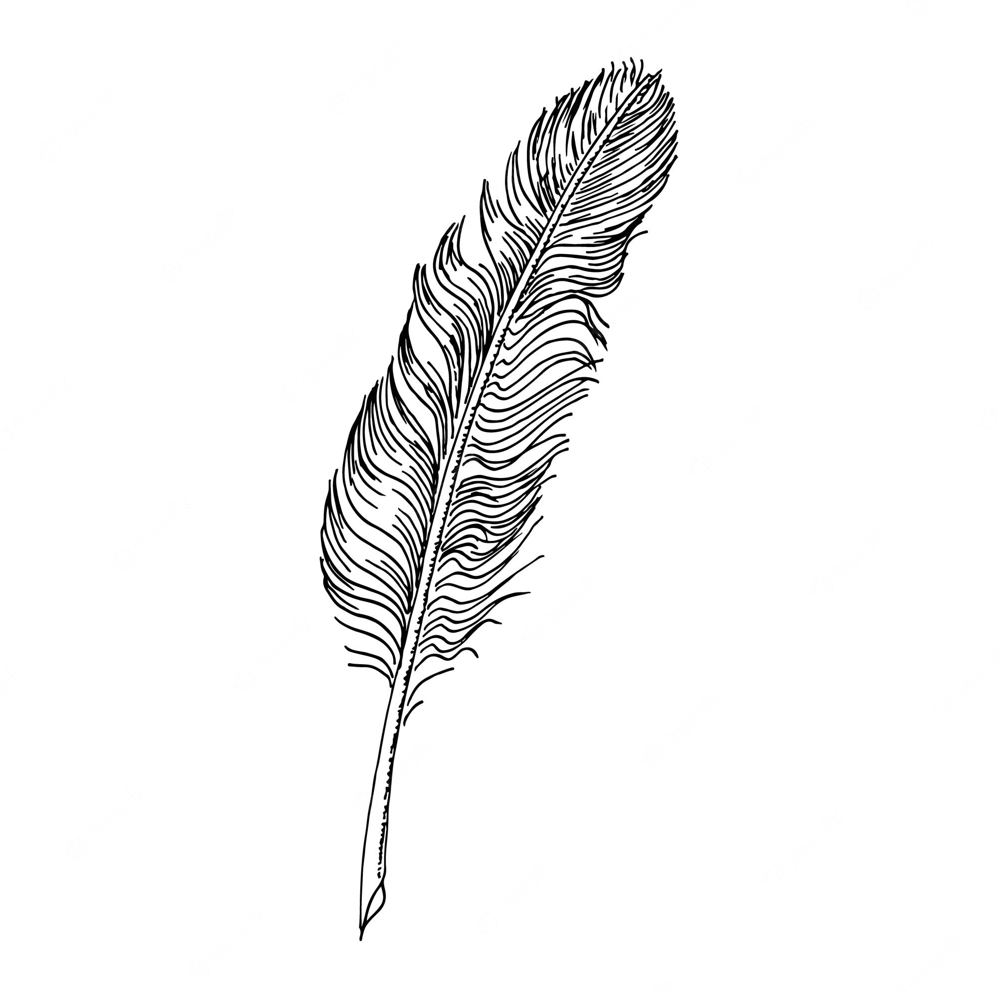 Feather Quill Clipart Transparent PNG Hd, Quill Black And White - Clip ...