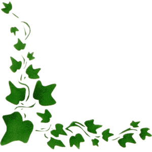 Green ivy vine corner decoration with stylized leaves on white background.