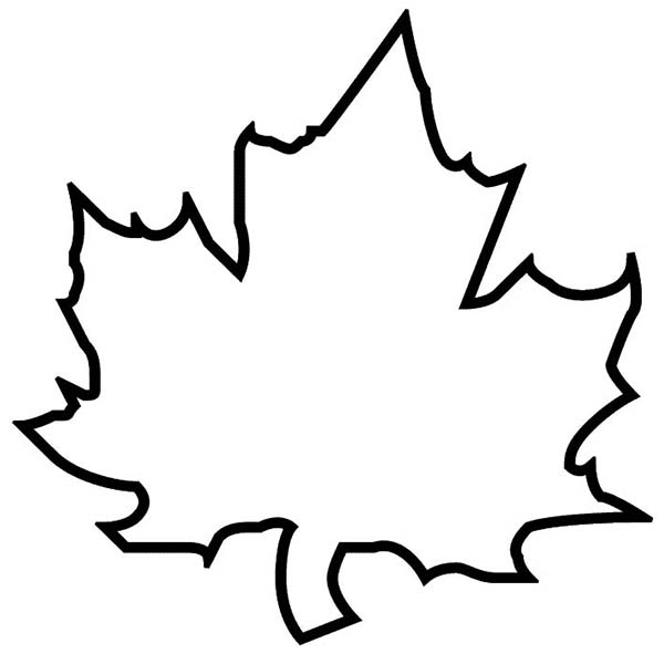 Black outline of a classic five-lobed maple leaf on white background, ideal for coloring or design templates.