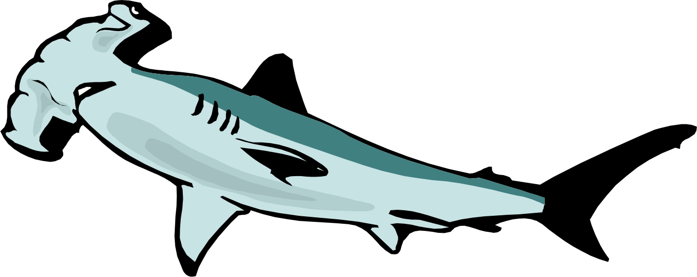 Illustration of a hammerhead shark with distinctive T-shaped head, light blue-gray body, and black-tipped fins.