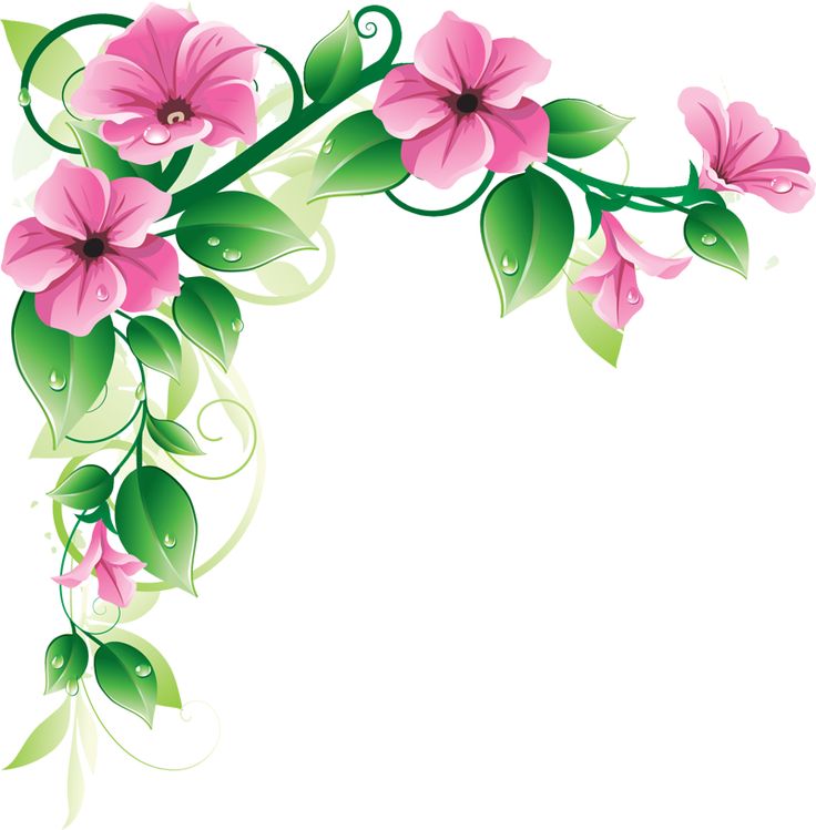 Pink floral vine corner decoration with green leaves and dewdrops, stylized vector illustration.